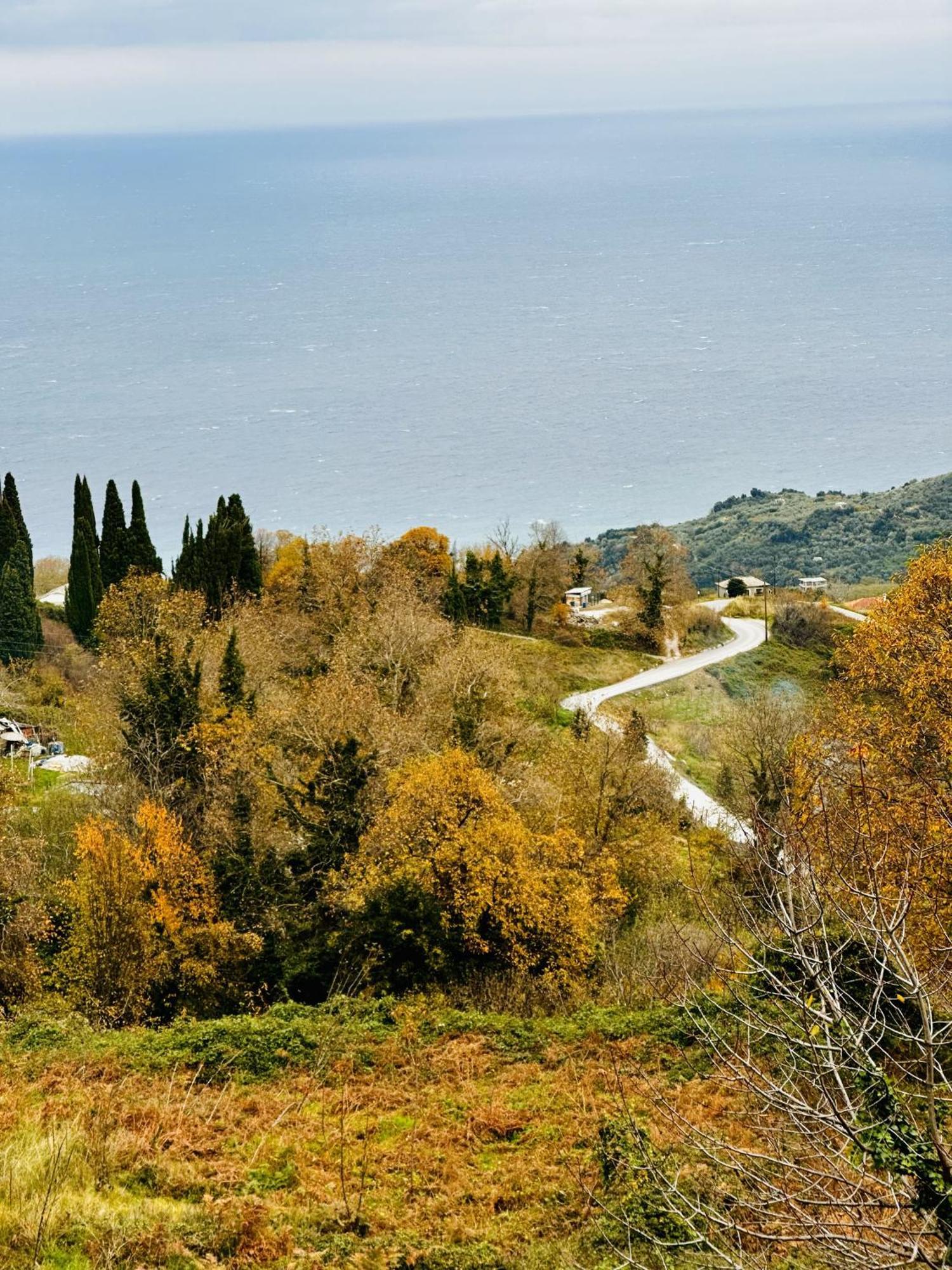 Luxury Villa At Pelion- Ruby Zagora Dış mekan fotoğraf